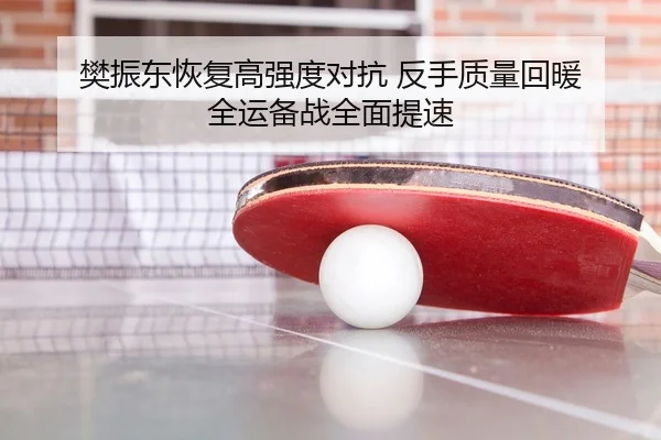樊振东恢复高强度对抗 反手质量回暖 全运备战全面提速